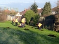 16jan18_volunteers-planting-hedge-brickfield.jpg