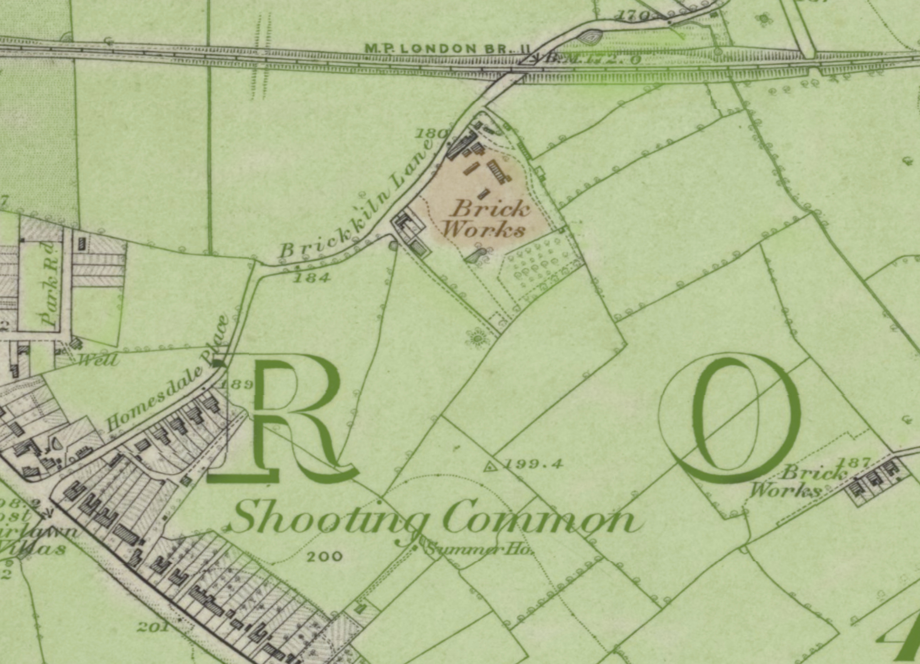 1871 Map Brickfield N Blackbrook Crop Green Tinted Copy 